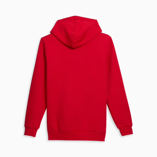 Hoodie PUMA