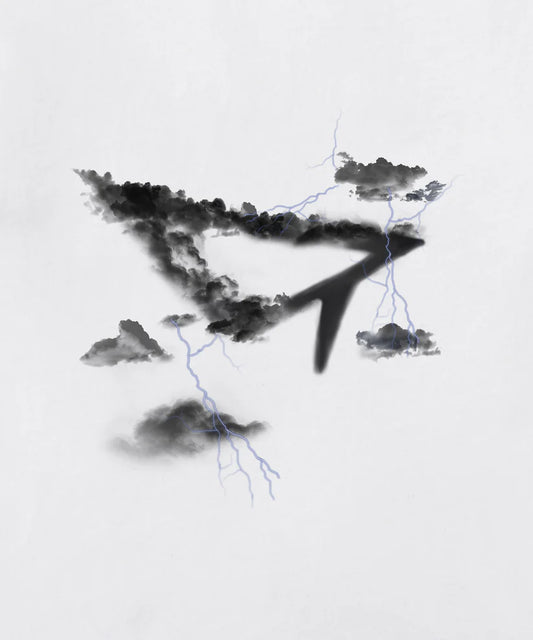 Camiseta PAPER PLANES