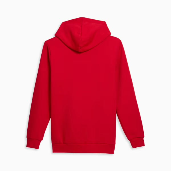 Hoodie PUMA